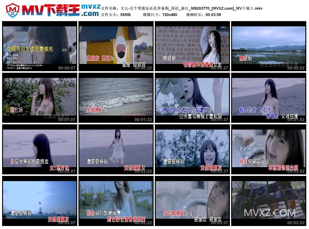 文儿-交个男朋友还是养条狗_国语_流行_MB203770